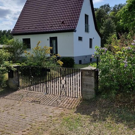 Mecklenburgische Seenplatte - Fh Mit Optionalem Steg Und Ruderboot Grosszerlang Eksteriør billede